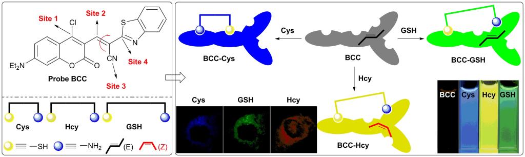 太阳网集团tcy8722