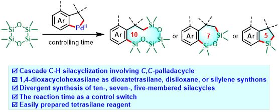 太阳网集团tcy8722