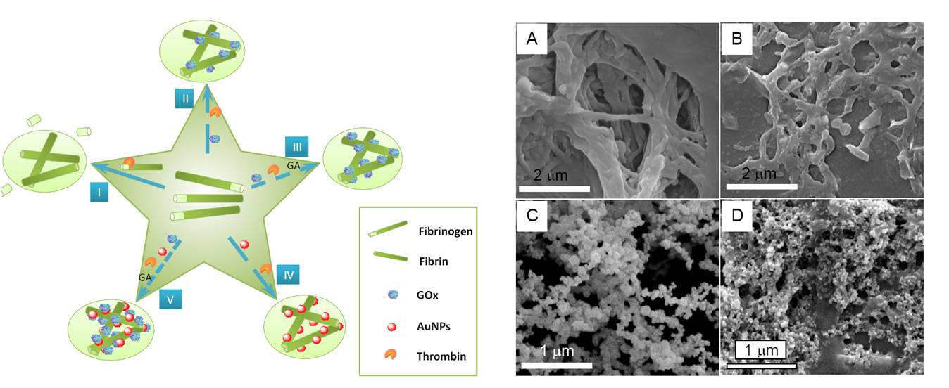 太阳网集团tcy8722