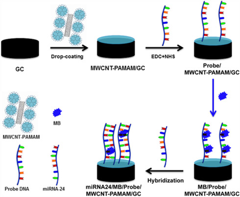 太阳网集团tcy8722