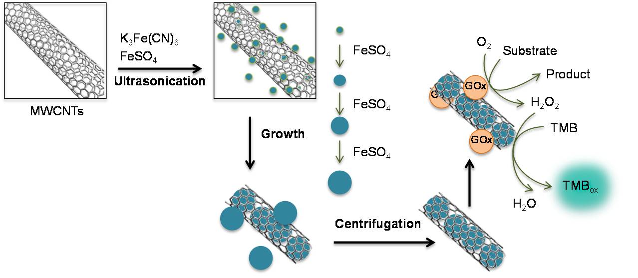 太阳网集团tcy8722