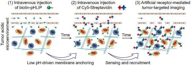 太阳网集团tcy8722