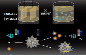 太阳网集团tcy8722